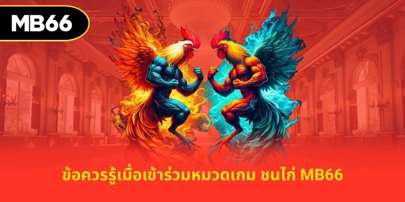 ข้อควรรู้เมื่อเข้าร่วมหมวดเกม ชนไก่ MB66