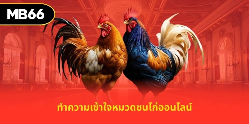 ทำความเข้าใจหมวดชนไก่ออนไลน์