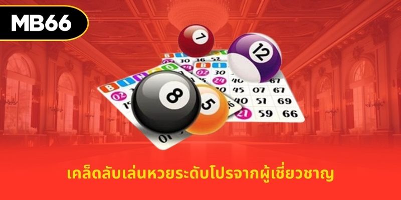 เคล็ดลับเล่นหวยระดับโปรจากผู้เชี่ยวชาญ